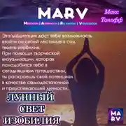 Постер книги Лунный Свет Изобилия