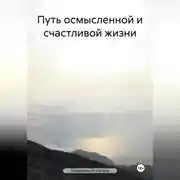 Постер книги Путь осмысленной и счастливой жизни