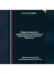 Сергей Каледин - Эффективность управления персоналом предприятия малого бизнеса