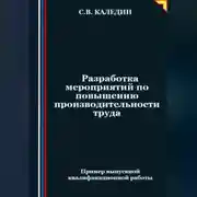 Постер книги Разработка мероприятий по повышению производительности труда