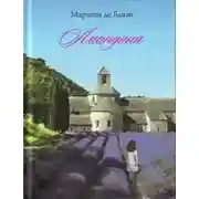Постер книги Амандина