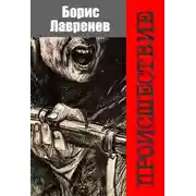Постер книги Происшествие