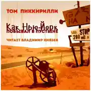 Постер книги Как Нью-Йорк побывал в пустыне
