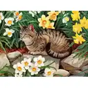 Постер книги Куфин