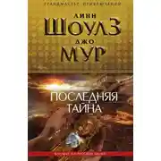 Постер книги Последняя тайна