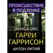 Постер книги Происшествие в подземке