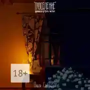 Постер книги Подселение