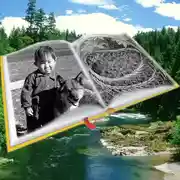 Постер книги Бабушка с малиной. Гирманча находит друзей. Аудиоспектакли