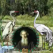 Постер книги Сказки в аудиоспектаклях