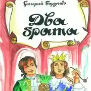 Постер книги Два брата