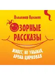 Владимир Кулаков - Озорные рассказы