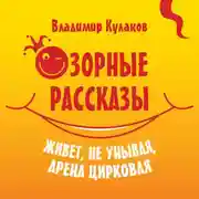 Постер книги Озорные рассказы