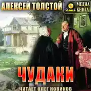 Постер книги Чудаки