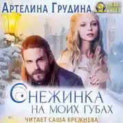 Постер книги Снежинка на моих губах
