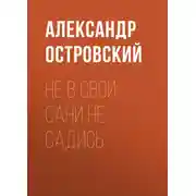 Постер книги Не в свои сани не садись