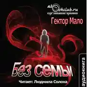 Постер книги Без семьи