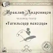 Постер книги Тагильская находка