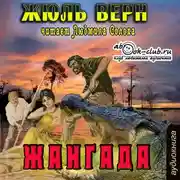 Постер книги Жангада, Восемьсот лье по Амазонке