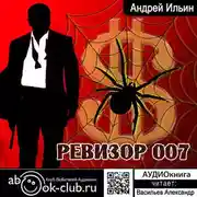 Постер книги Ревизор 007