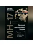 Константин Карманов - MH-17. Хроника пикирующего Боинга. Правда о самолете, который никто не сбивал