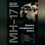Постер книги MH-17. Хроника пикирующего Боинга. Правда о самолете, который никто не сбивал