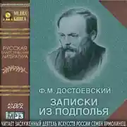 Постер книги Записки из подполья