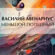 Постер книги Меньшой потешный