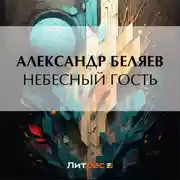 Постер книги Небесный гость