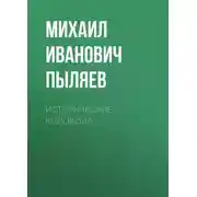 Постер книги Исторические колокола