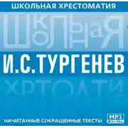 Постер книги Школьная хрестоматия. Отцы и дети