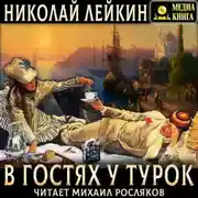 Постер книги В гостях у турок. Юмористическое описание путешествия супругов Николая Ивановича и Глафиры Семеновны Ивановых через Славянские земли в Константинополь