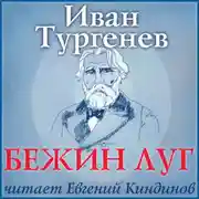 Постер книги Бежин луг