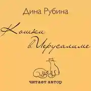 Постер книги Кошки в Иерусалиме