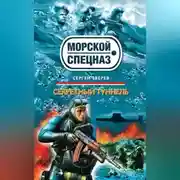 Постер книги Секретный туннель