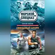 Постер книги Свинцовый шторм