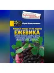 Юрій Константинов - Мощный лекарь от ста недугов. Ежевика. Лечение онкологии, диабета, артрита, атеросклероза, варикоза, гастрита, заболеваний печени, ревматизма…