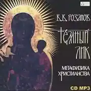 Постер книги Темный лик. Метафизика христианства