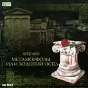 Постер книги Метаморфозы, или Золотой осел