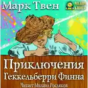 Постер книги Приключения Гекельберри Финна