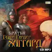 Постер книги Братья