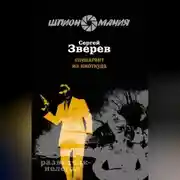 Постер книги Спецагент из ниоткуда