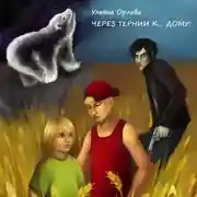 Постер книги Через тернии к… дому!