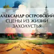 Постер книги Сцены из жизни захолустья