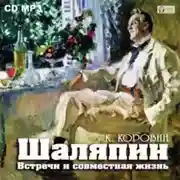 Постер книги Шаляпин. Встречи и совместная жизнь