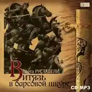 Постер книги Витязь в барсовой шкуре