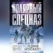 Постер книги Ледяной бронежилет