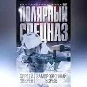 Постер книги Замороженный взрыв