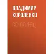 Постер книги Соколинец
