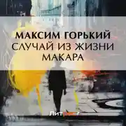 Постер книги Случай из жизни Макара