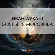 Постер книги Боярыня Морозова